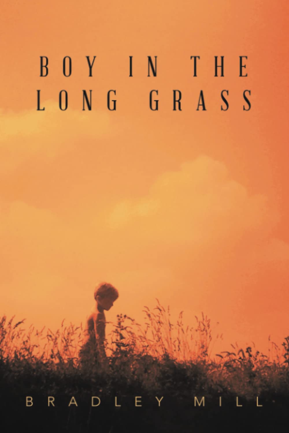 Book cover of 'Boy in the Long Grass'